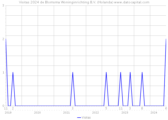 Visitas 2024 de Blomsma Woninginrichting B.V. (Holanda) 