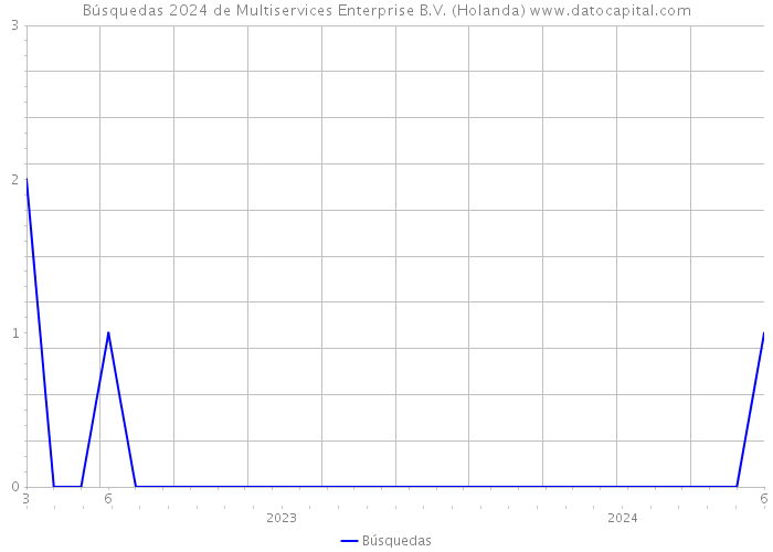 Búsquedas 2024 de Multiservices Enterprise B.V. (Holanda) 