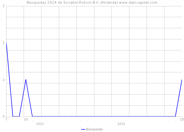 Búsquedas 2024 de Socialist Robots B.V. (Holanda) 