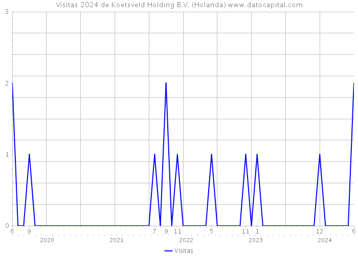 Visitas 2024 de Koetsveld Holding B.V. (Holanda) 