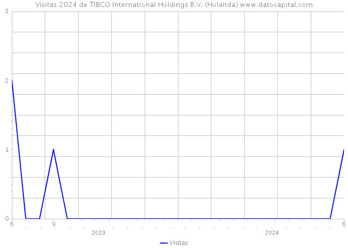 Visitas 2024 de TIBCO International Holdings B.V. (Holanda) 