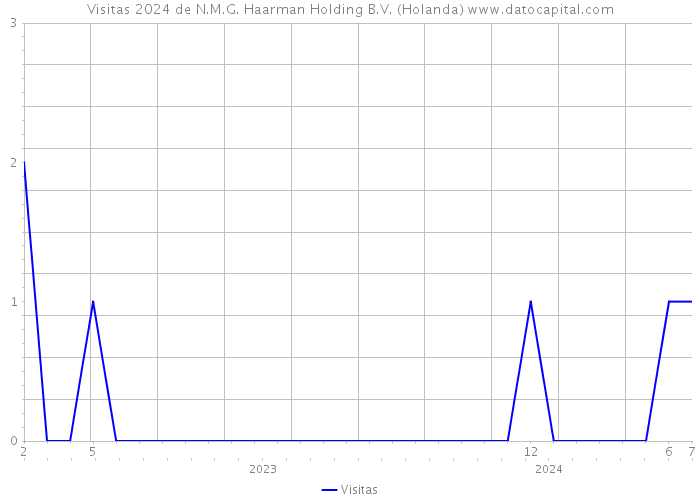 Visitas 2024 de N.M.G. Haarman Holding B.V. (Holanda) 