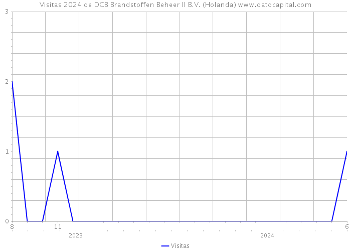 Visitas 2024 de DCB Brandstoffen Beheer II B.V. (Holanda) 