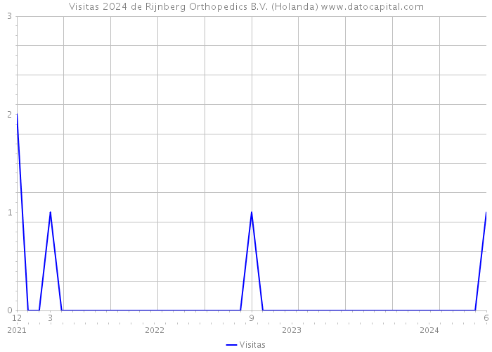 Visitas 2024 de Rijnberg Orthopedics B.V. (Holanda) 