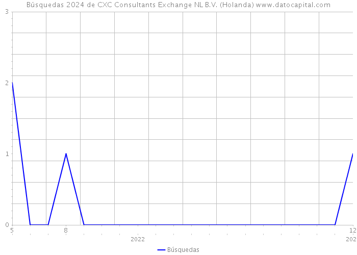 Búsquedas 2024 de CXC Consultants Exchange NL B.V. (Holanda) 