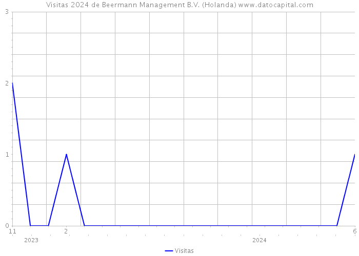 Visitas 2024 de Beermann Management B.V. (Holanda) 