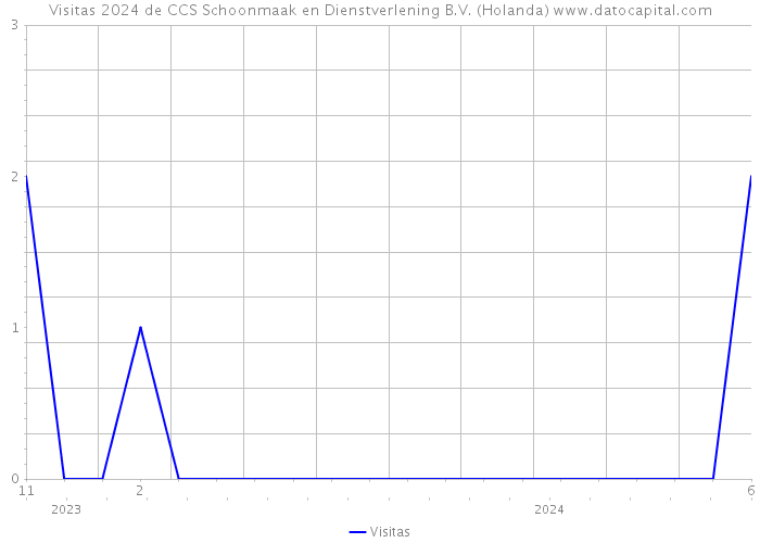 Visitas 2024 de CCS Schoonmaak en Dienstverlening B.V. (Holanda) 