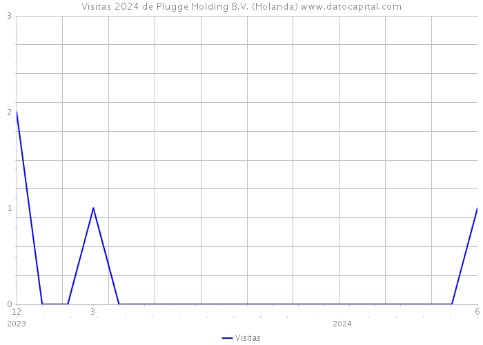 Visitas 2024 de Plugge Holding B.V. (Holanda) 