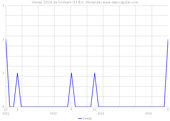 Visitas 2024 de Voshart-33 B.V. (Holanda) 
