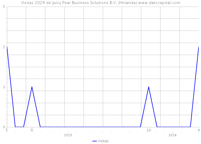 Visitas 2024 de Juicy Pear Business Solutions B.V. (Holanda) 