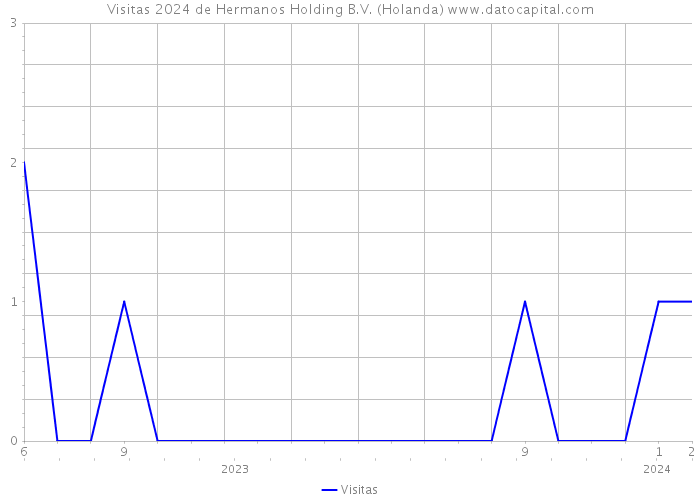 Visitas 2024 de Hermanos Holding B.V. (Holanda) 