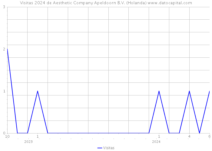 Visitas 2024 de Aesthetic Company Apeldoorn B.V. (Holanda) 