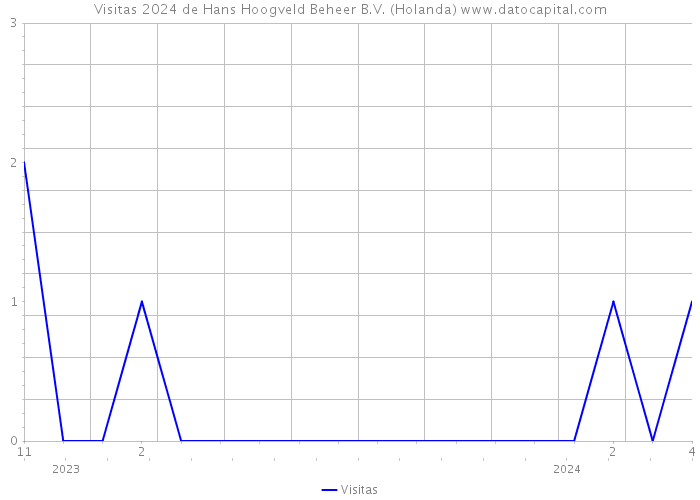 Visitas 2024 de Hans Hoogveld Beheer B.V. (Holanda) 