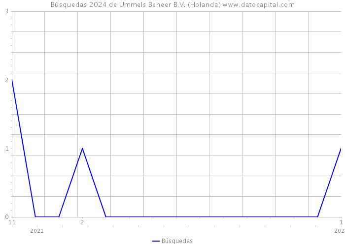 Búsquedas 2024 de Ummels Beheer B.V. (Holanda) 