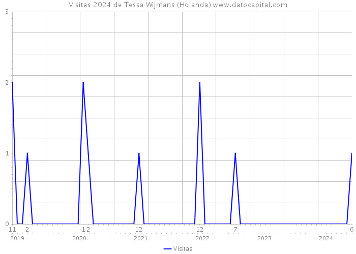 Visitas 2024 de Tessa Wijmans (Holanda) 