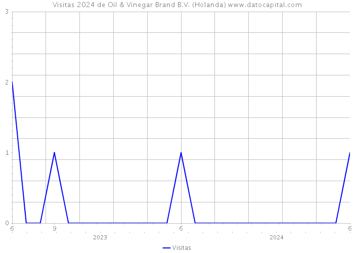 Visitas 2024 de Oil & Vinegar Brand B.V. (Holanda) 