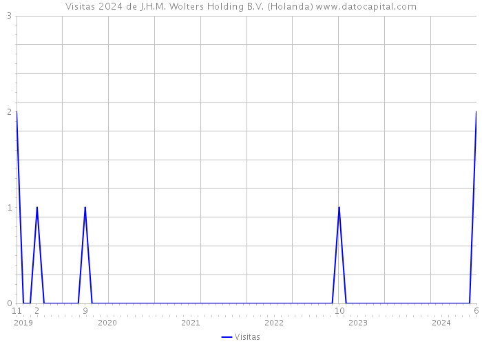 Visitas 2024 de J.H.M. Wolters Holding B.V. (Holanda) 