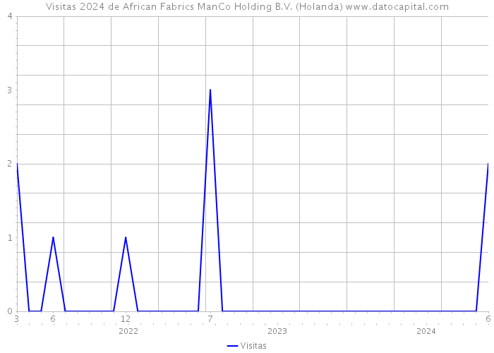 Visitas 2024 de African Fabrics ManCo Holding B.V. (Holanda) 