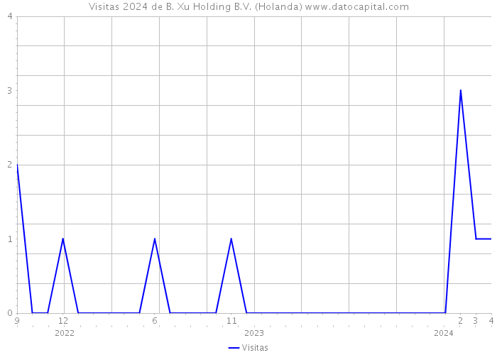 Visitas 2024 de B. Xu Holding B.V. (Holanda) 