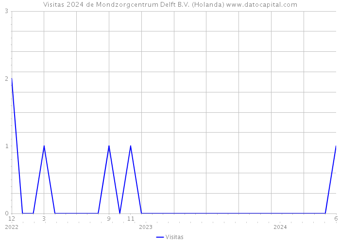 Visitas 2024 de Mondzorgcentrum Delft B.V. (Holanda) 