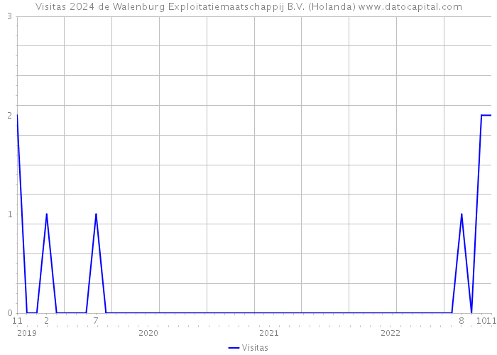 Visitas 2024 de Walenburg Exploitatiemaatschappij B.V. (Holanda) 