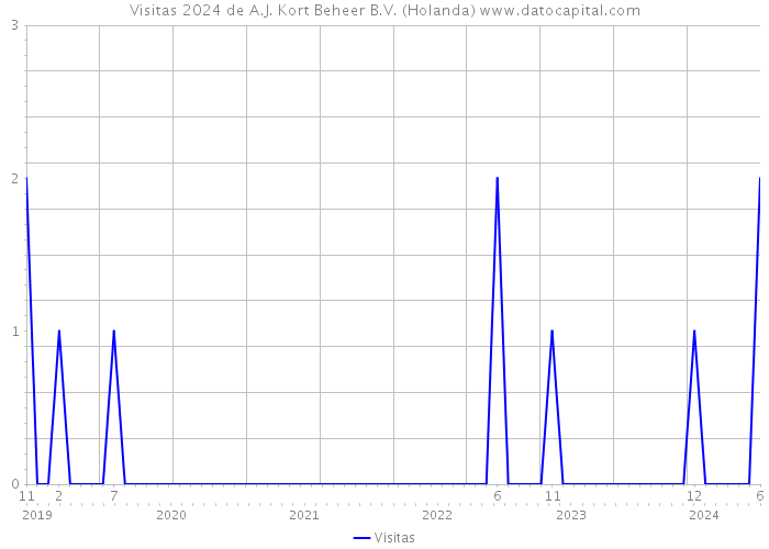 Visitas 2024 de A.J. Kort Beheer B.V. (Holanda) 