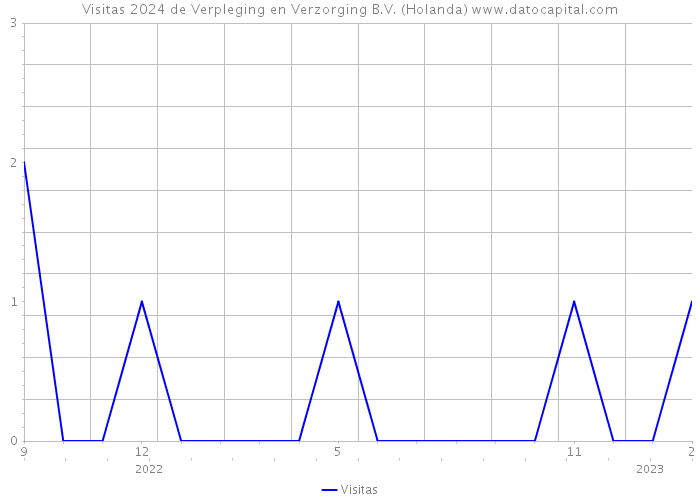 Visitas 2024 de Verpleging en Verzorging B.V. (Holanda) 