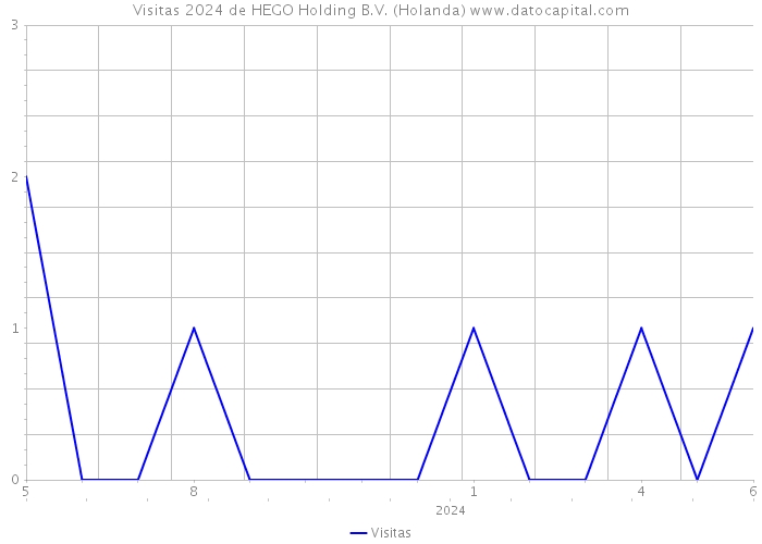 Visitas 2024 de HEGO Holding B.V. (Holanda) 