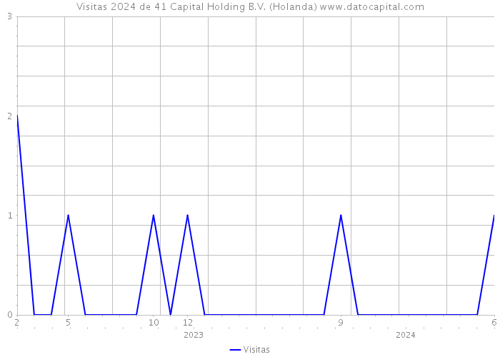 Visitas 2024 de 41 Capital Holding B.V. (Holanda) 