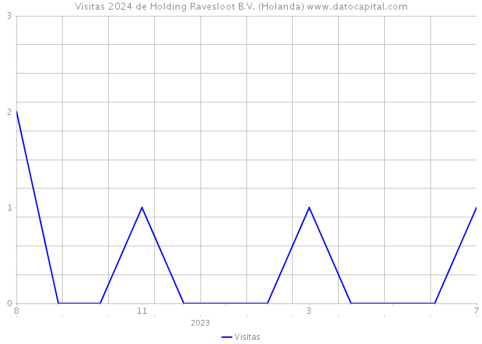 Visitas 2024 de Holding Ravesloot B.V. (Holanda) 