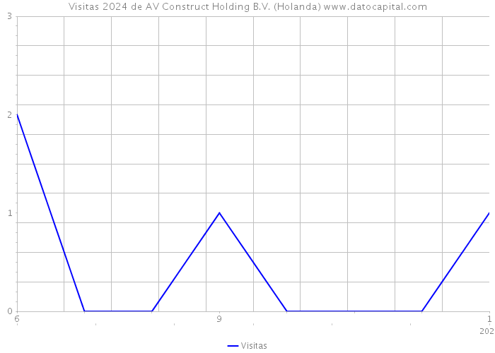 Visitas 2024 de AV Construct Holding B.V. (Holanda) 