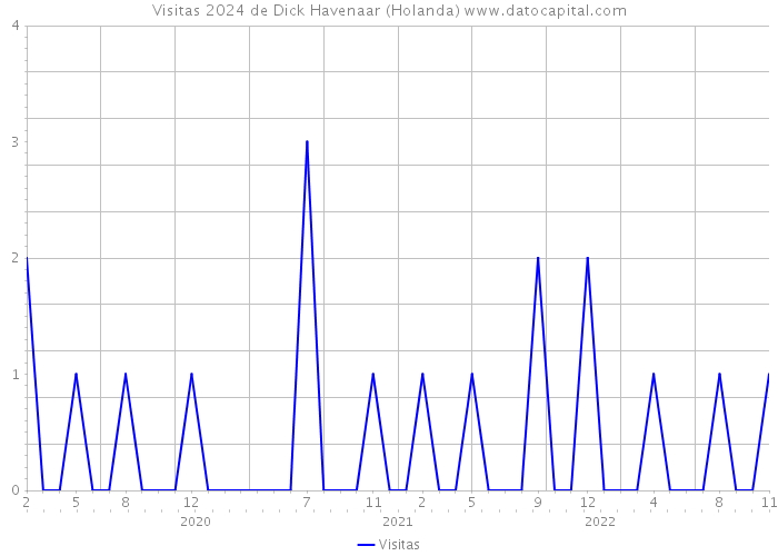 Visitas 2024 de Dick Havenaar (Holanda) 