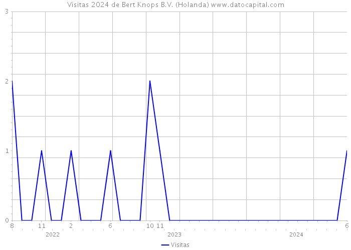 Visitas 2024 de Bert Knops B.V. (Holanda) 