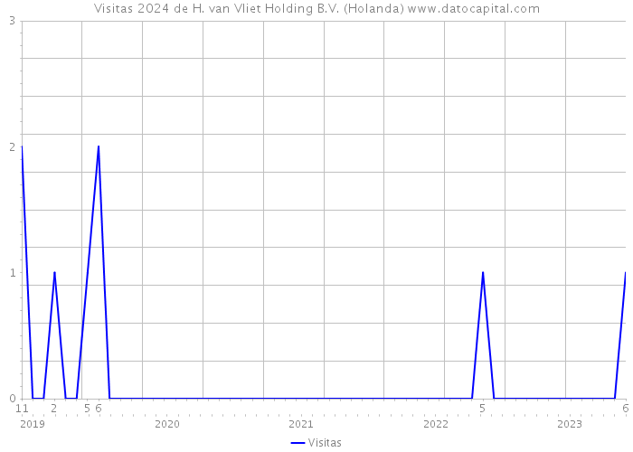 Visitas 2024 de H. van Vliet Holding B.V. (Holanda) 