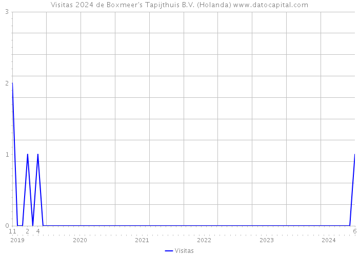 Visitas 2024 de Boxmeer's Tapijthuis B.V. (Holanda) 