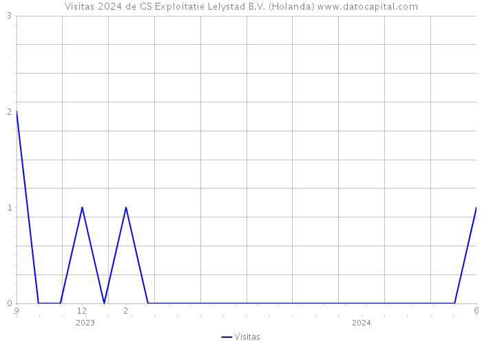 Visitas 2024 de GS Exploitatie Lelystad B.V. (Holanda) 