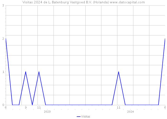 Visitas 2024 de L. Batenburg Vastgoed B.V. (Holanda) 