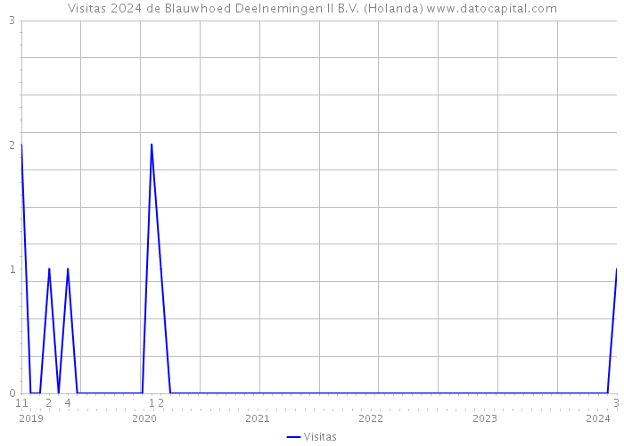 Visitas 2024 de Blauwhoed Deelnemingen II B.V. (Holanda) 