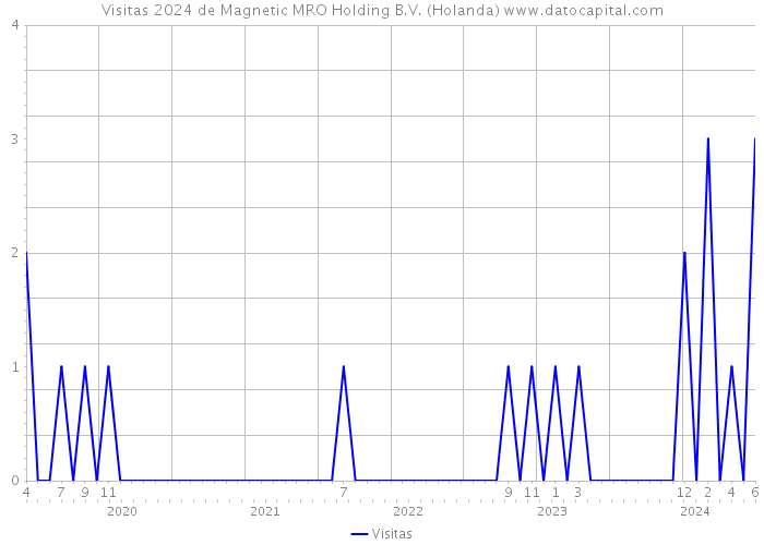 Visitas 2024 de Magnetic MRO Holding B.V. (Holanda) 