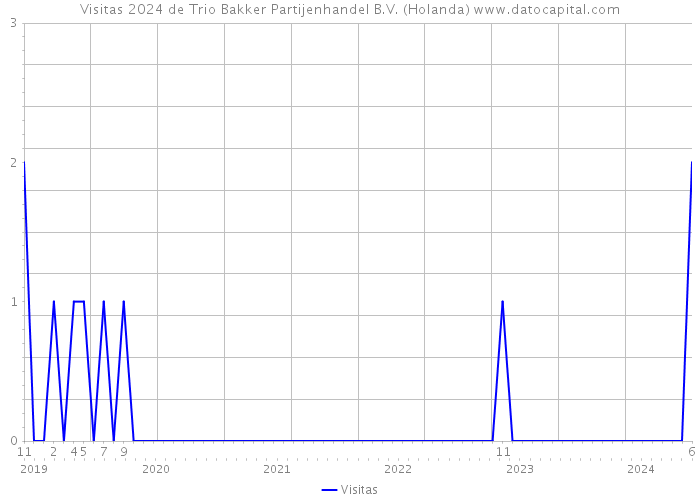 Visitas 2024 de Trio Bakker Partijenhandel B.V. (Holanda) 