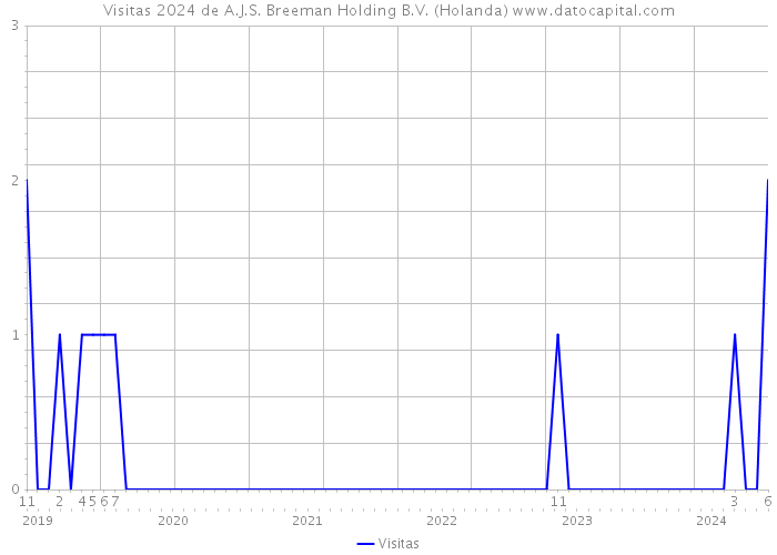 Visitas 2024 de A.J.S. Breeman Holding B.V. (Holanda) 