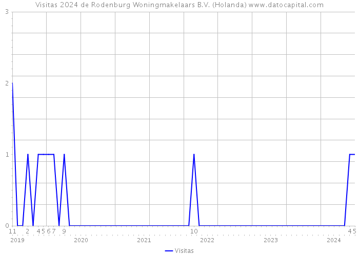 Visitas 2024 de Rodenburg Woningmakelaars B.V. (Holanda) 