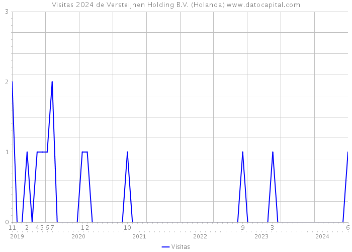 Visitas 2024 de Versteijnen Holding B.V. (Holanda) 