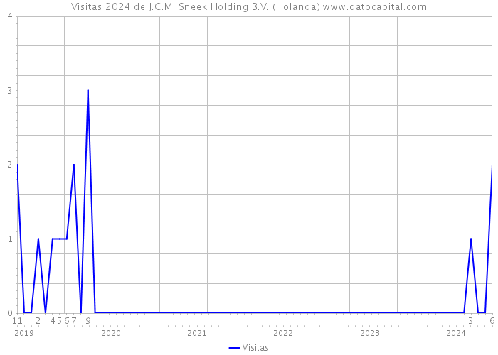 Visitas 2024 de J.C.M. Sneek Holding B.V. (Holanda) 