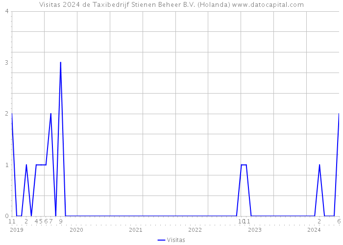 Visitas 2024 de Taxibedrijf Stienen Beheer B.V. (Holanda) 