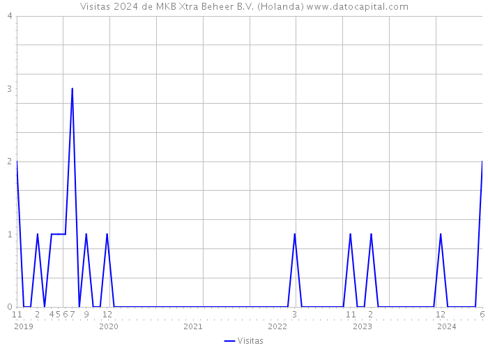 Visitas 2024 de MKB Xtra Beheer B.V. (Holanda) 