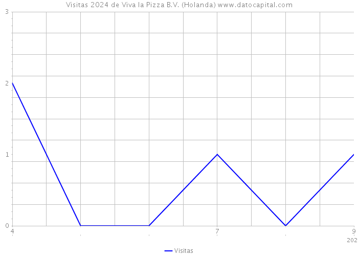 Visitas 2024 de Viva la Pizza B.V. (Holanda) 