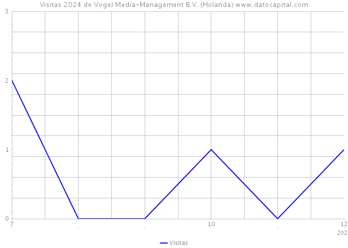 Visitas 2024 de Vogel Media-Management B.V. (Holanda) 