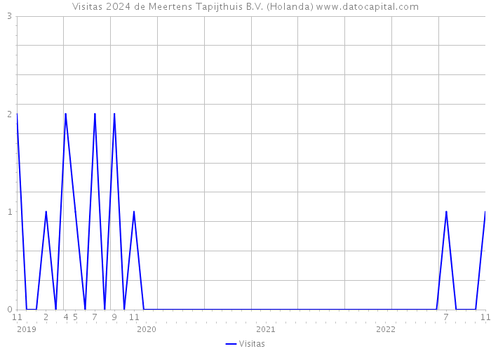 Visitas 2024 de Meertens Tapijthuis B.V. (Holanda) 