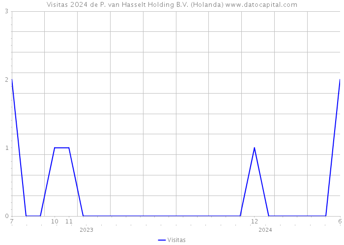 Visitas 2024 de P. van Hasselt Holding B.V. (Holanda) 